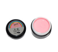 Гель-краска Color Gel SH 10