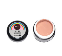 Гель-краска Color Gel SH 11